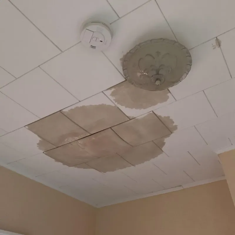 Ceiling Water Damage Repair in Olivet, MI