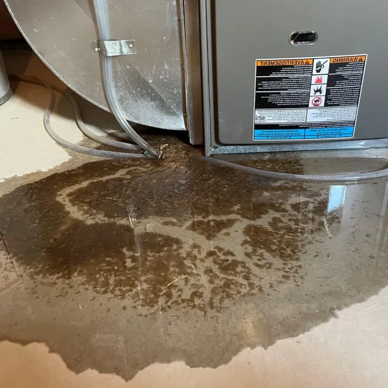 Pipe Burst and Leak Restoration in Olivet, MI
