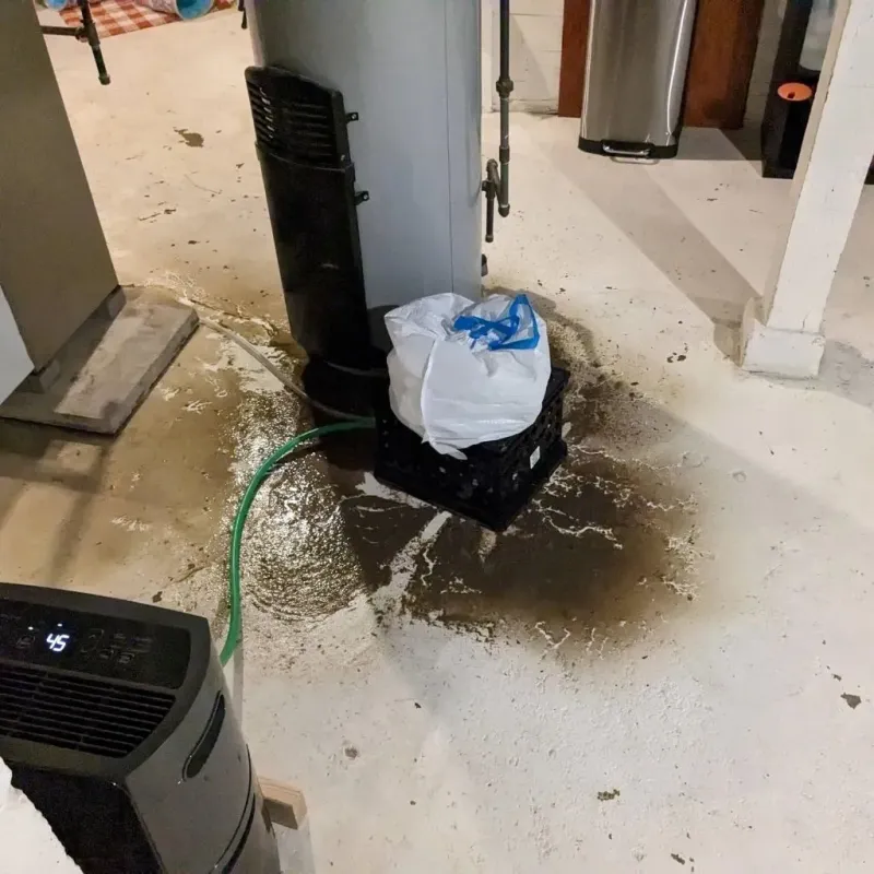 Sewage Backup Cleanup Service in Olivet, MI